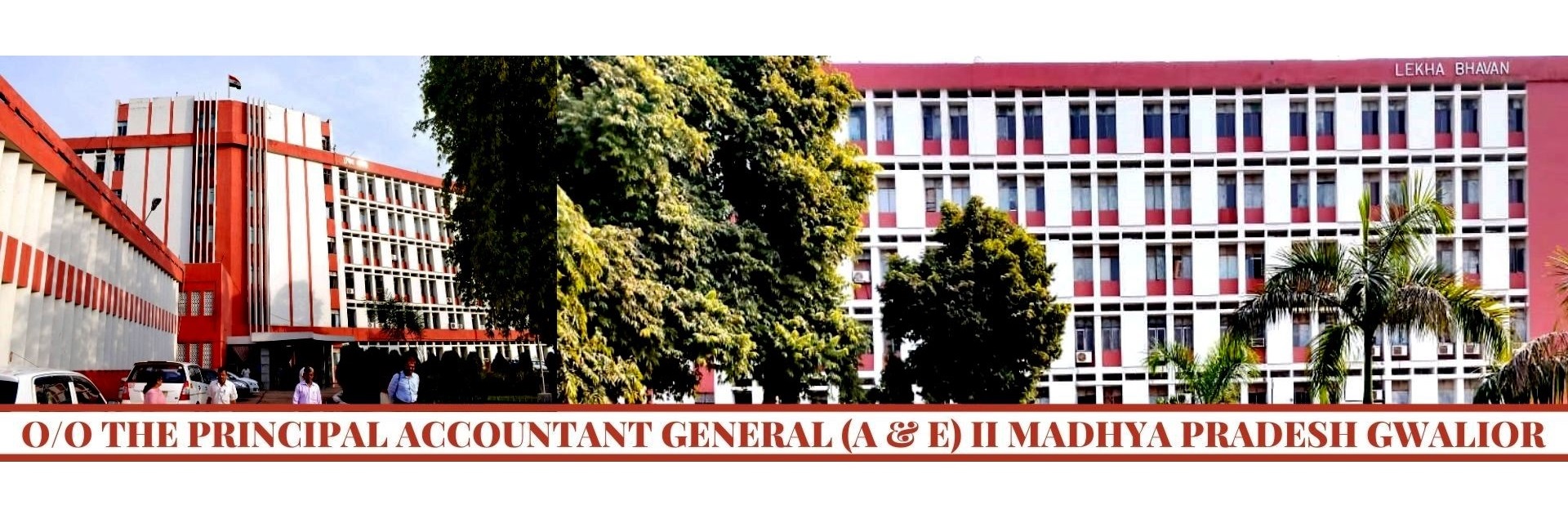 Accountants General (A&E)