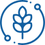 Agriculture and Rural Development